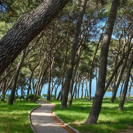 Διαμέρισμα Location