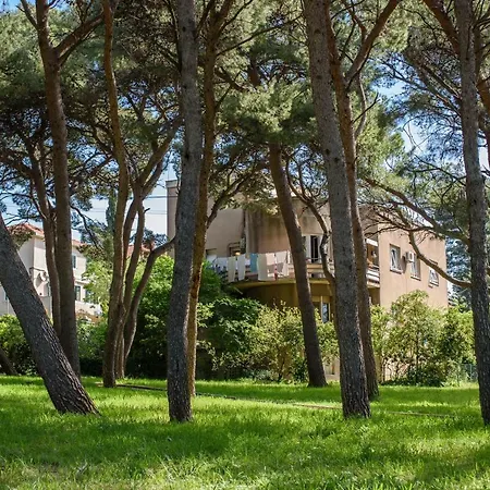 Location Spalato